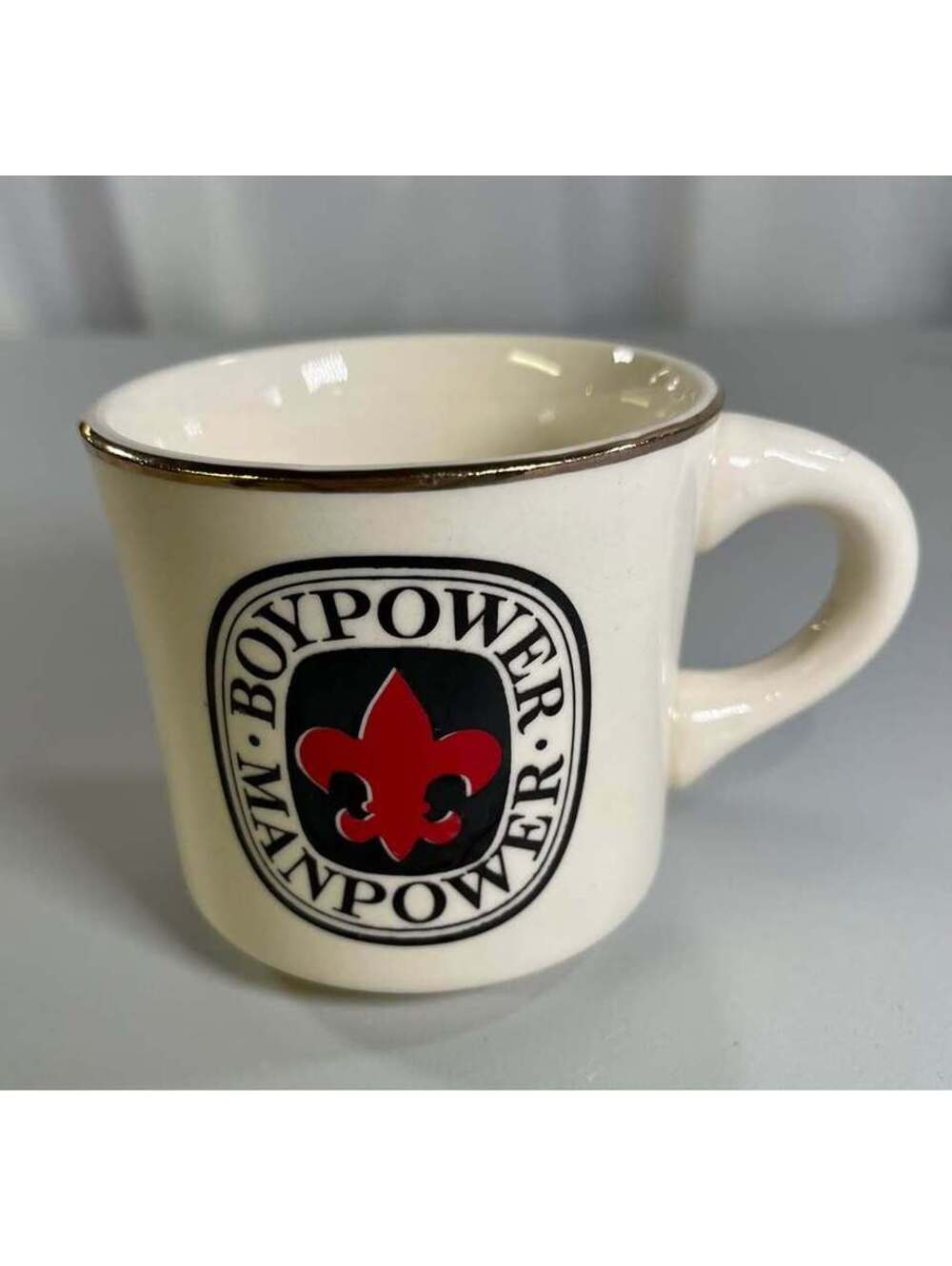 Vintage Boy Scouts Boy Power Man Power Mug  Fleur-de-lis